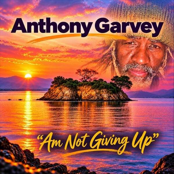 Cover art for Am Not Giving Up